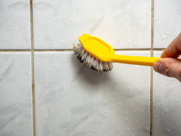 Best Mold Removal Near Me  in Freer, TX