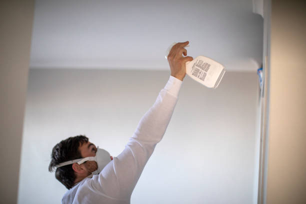 Best Mold Remediation  in Freer, TX