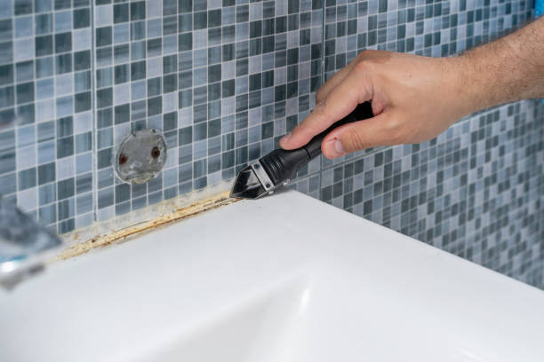 Best Toxic Mold Removal  in Freer, TX