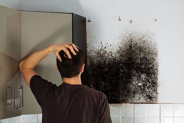 Best Residential Mold Removal  in Freer, TX
